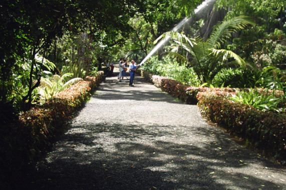 Jardín de Aclimatación de la Orotava Puerto de la Cruz