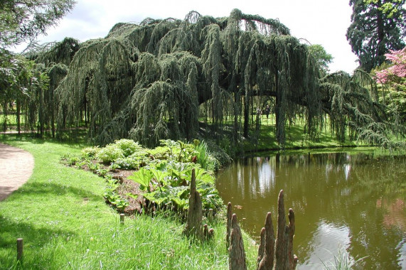 Arboretum de la Vallée-aux-Loups Châtenay-Malabry