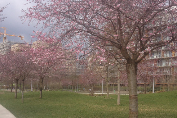 Parc Clichy-Batignolles - Martin Luther King Clichy