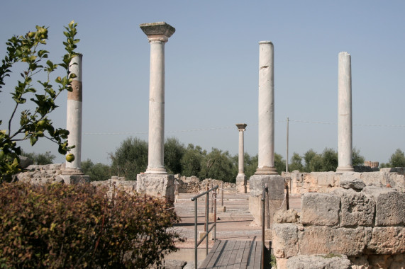 Basilica di San Leucio Canosa di Puglia