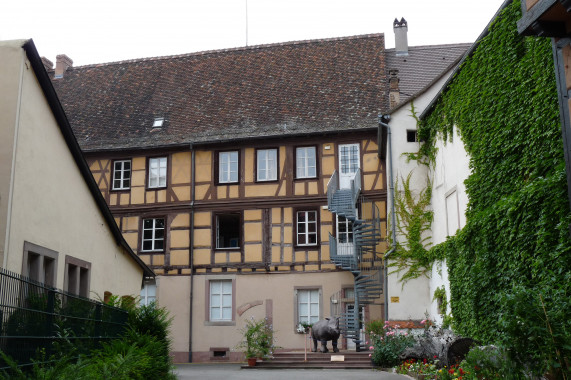 Muséum d'histoire naturelle de Colmar Colmar