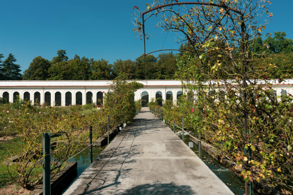 Niso Fumagalli Rose Garden Monza