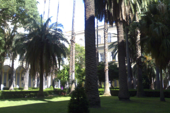 Università degli Studi della Campania Luigi Vanvitelli Caserta