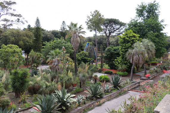 Orto botanico di Portici San Giorgio a Cremano