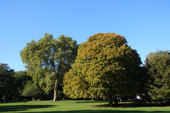 Parc Montsouris Montrouge