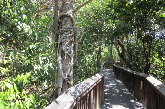 Gumbo Limbo Environmental Complex Boca Raton