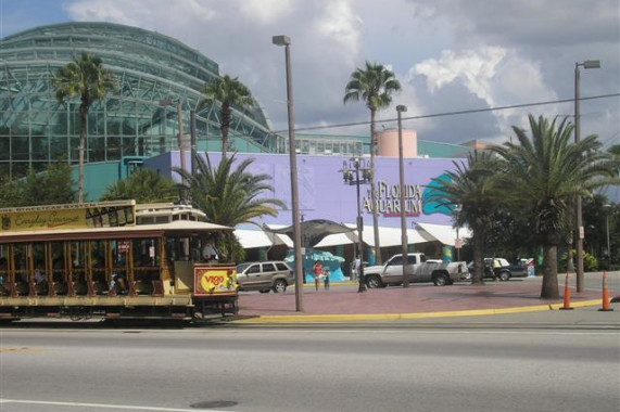 Florida Aquarium Tampa