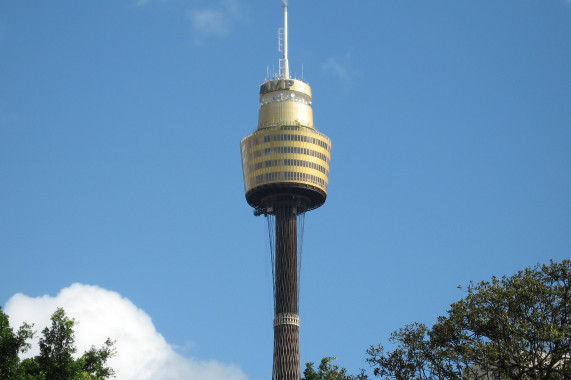 Sydney Tower Sydney