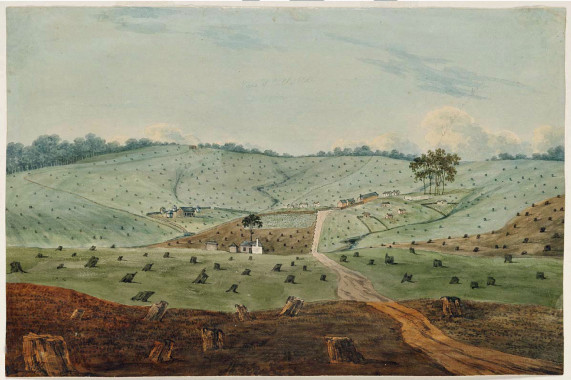 Third Government Farm Sydney