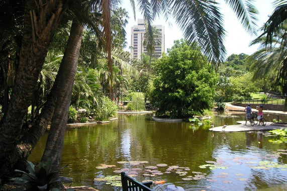 Brisbane City Botanic Gardens Brisbane