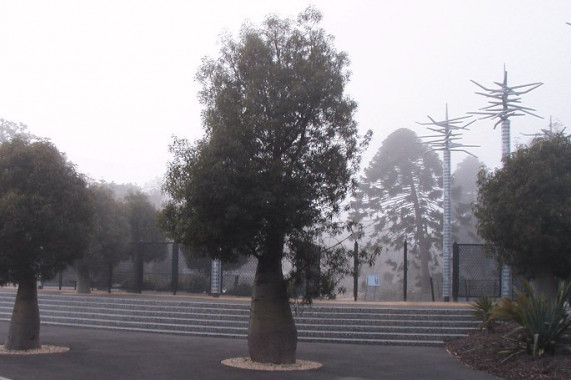 Geelong Botanic Gardens Geelong