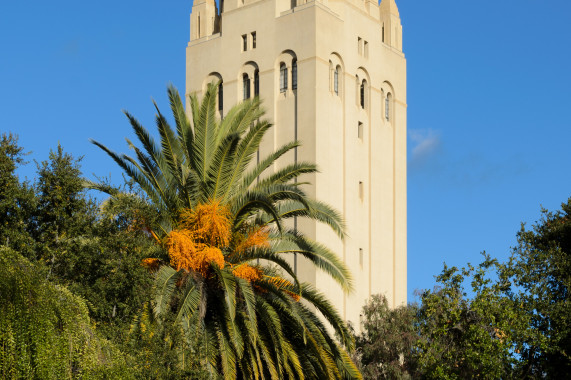 Hoover Tower Palo Alto