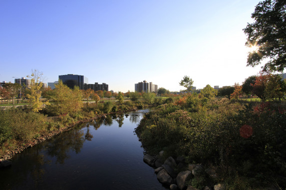 Mill River Park Stamford