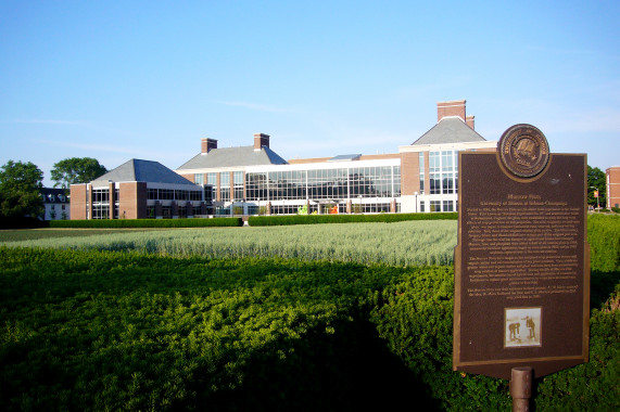 Morrow Plots Urbana