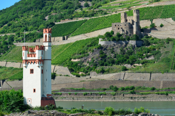 Binger Mäuseturm Bingen am Rhein