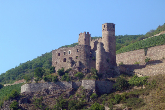 Burg Ehrenfels Bingen am Rhein