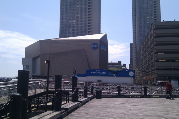 New England Aquarium Boston