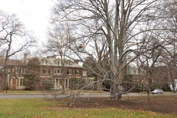 Longwood Historic District Brookline