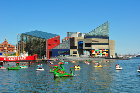 National Aquarium Baltimore