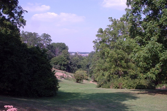 Nichols Arboretum Ann Arbor