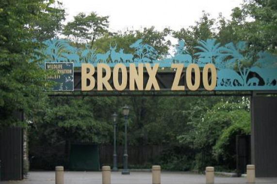 Zoo del Bronx New York