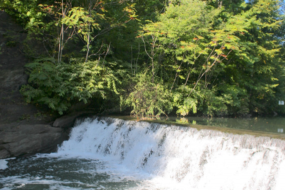 Bronx Park New York