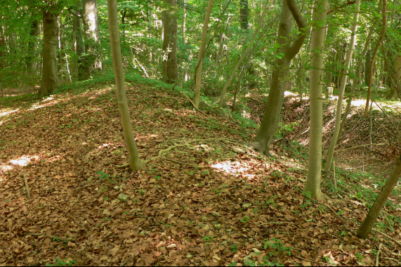 Ringwall auf dem Gehrdener Berg Gehrden