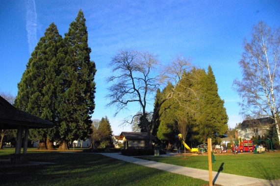 Bagley Park Hillsboro