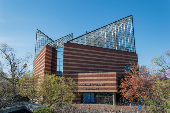 Tennessee Aquarium Chattanooga