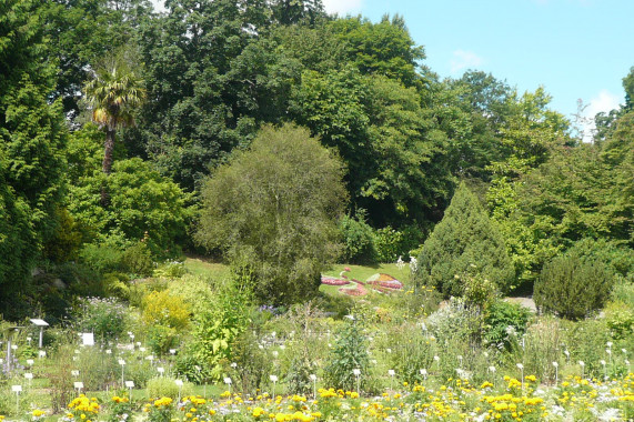 Jardin des plantes de Caen Caen