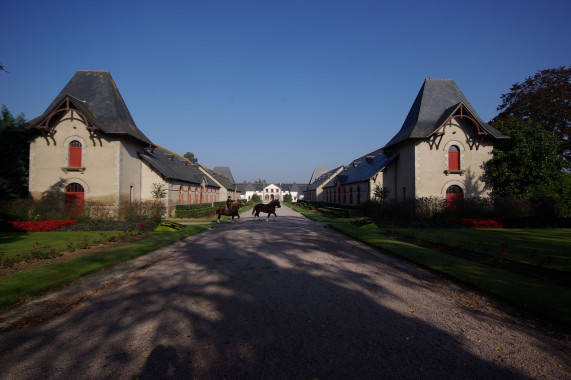 Haras national de Lamballe Lamballe