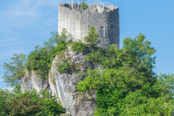 Château de La Roche-sur-Foron La Roche-sur-Foron