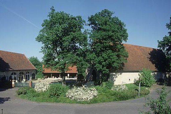 Baumberger Sandsteinmuseum Havixbeck