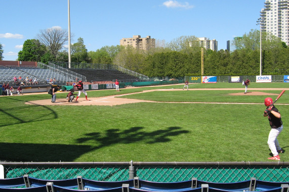 Labatt Park London