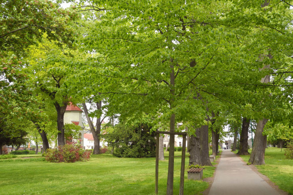 Sachgesamtheit Alter Friedhof mit Gefallenendenkmal, mit folgenden Einzeldenkmalen: Gefallenendenkmal und Pesthäuschen (siehe Einzeldenkmalliste - Obj. 09255765) sowie dem ehem. Friedhof und Park (Gartendenkmal), außerdem die Reste der Einfriedung Wurzen