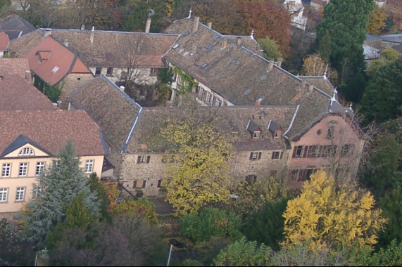 Schloss Deidesheim Deidesheim