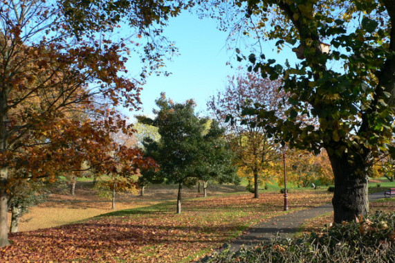 Bellevue Park Wrexham