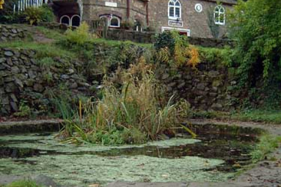 St. Ann's Well Great Malvern