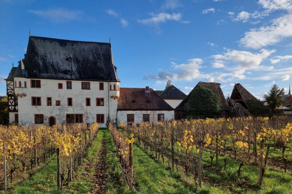 Schloss Schönborn Geisenheim