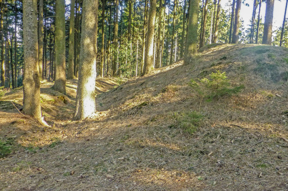 Bardenburg Georgsmarienhütte