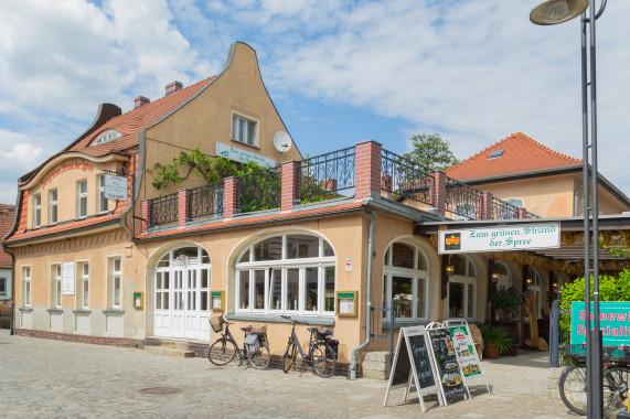 At the Verdant Shores of the River Spree Lübbenau