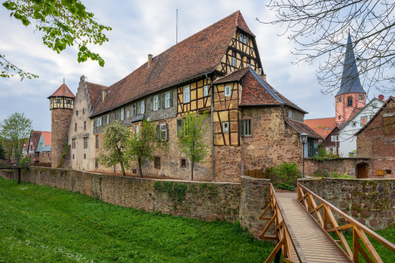 Burg Michelstadt Michelstadt