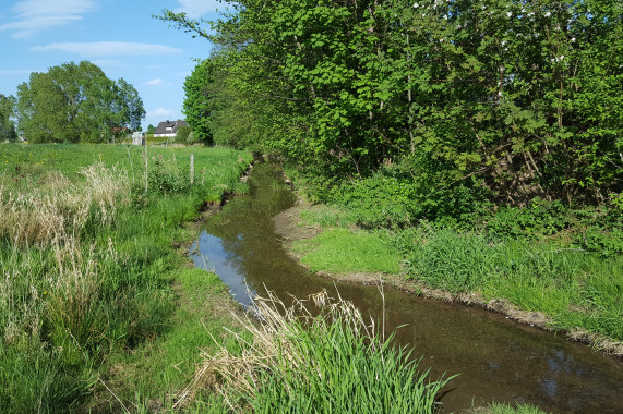 Wurmbach Gunzenhausen