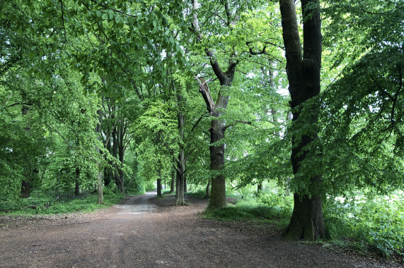 Bürgergarten Eilenburg