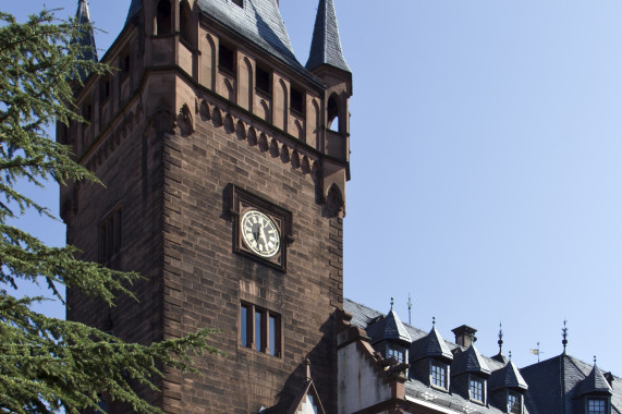 Weinheimer Schloss Weinheim