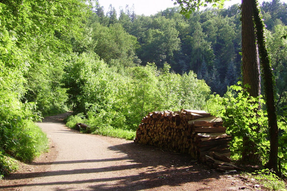 Exotenwald Weinheim