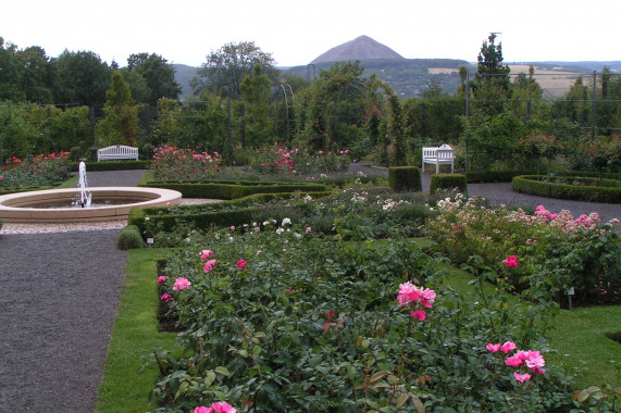 Europa-Rosarium Sangerhausen