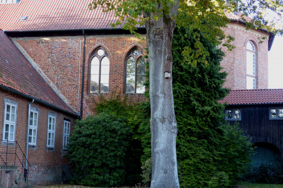 Kloster Walsrode Walsrode