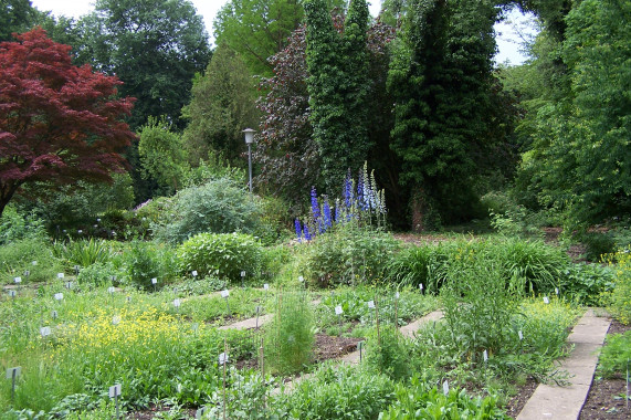 Alter Botanischer Garten Göttingen