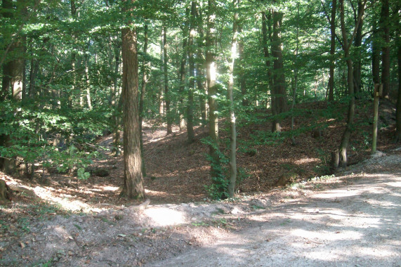 Siedlungsgeschichte Kapellenberg Hofheim am Taunus